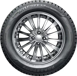Roadstone Winguard Spike 195/70 R15 104/102R