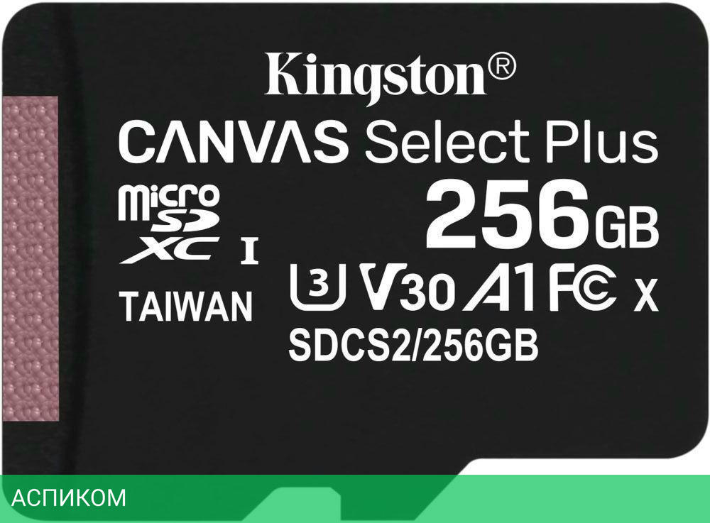 Карта памяти Kingston microSDHC 256GB microSDXC Class10 (SDCS2/256GBSP)