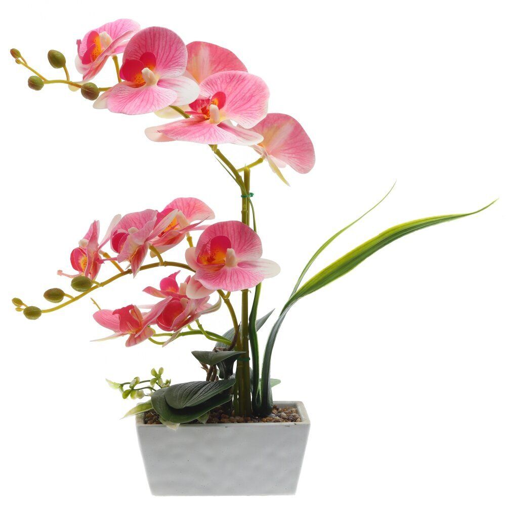 GAEM Цветочная композиция "Орхидея", L16 W9,5 H42 см