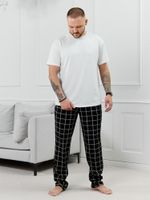 Брюки мужские Тор-1.1 Виотекс КЛЕТКА ЛИНЕАРНАЯ