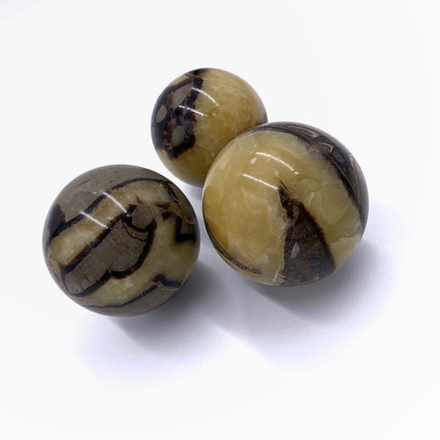 Септария (шар)