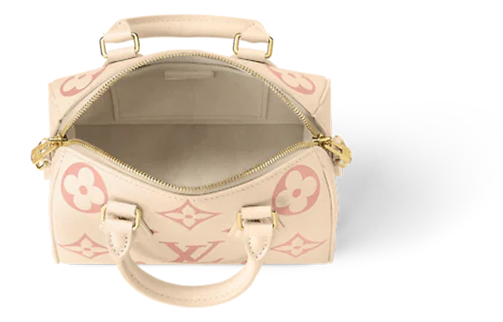 Сумка LOUIS VUITTON Speedy 20, M46397