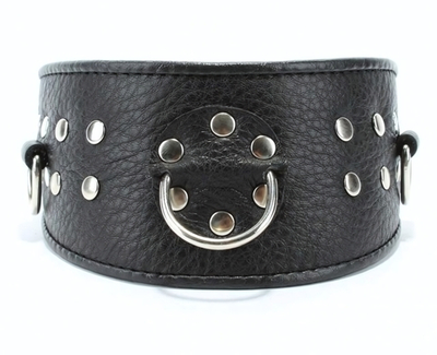 Черный кожаный ошейник с расширением впереди (Цвет: черный)