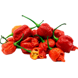 Каролина Рипер (Carolina Reaper) в ассортименте