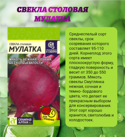 Набор семян свеклы для высокого урожая. Семена Алтая