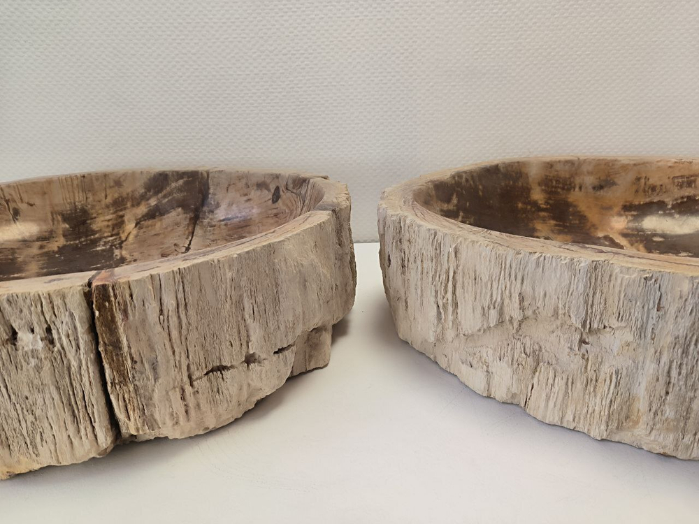 Раковина из окаменелого дерева OD-62102 56*47*15