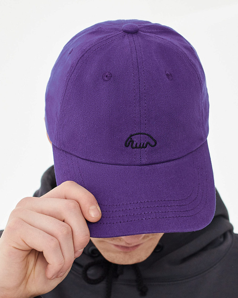 Кепка Anteater 6Panel-Violet