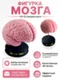 Фигурка мозг на подставке, 3D-печать, декоративный сувенир