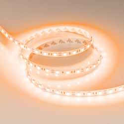 Светодиодная лента RT-B60-10mm 12V Orange (14.4 W/m, IP20, 5060, 5m) (Arlight, Открытый) 015972(2)