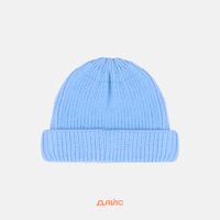  Шапка SHU короткая артикул:41 - купить в магазине Дайс