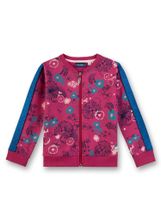 Толстовка Sanetta KIDSWEAR 125405 3691