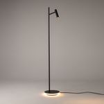Напольный светильник (торшер) Maytoni Z010FL-L8B3K