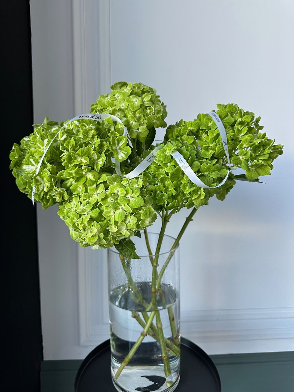 Гортензия в зеленом оттенке