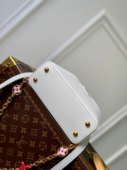 Louis Vuitton Capucines Mini