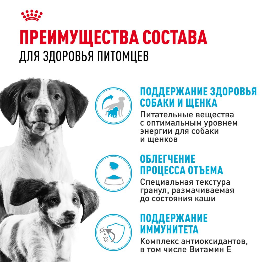 Сухой корм Royal Canin Medium Starter Mother & Babydog для щенков средних размеров в период отъема и до 2х месяцев, беременных и кормящих сук