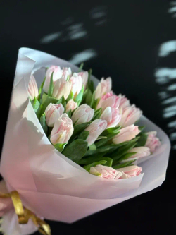 Тюльпаны, 21шт