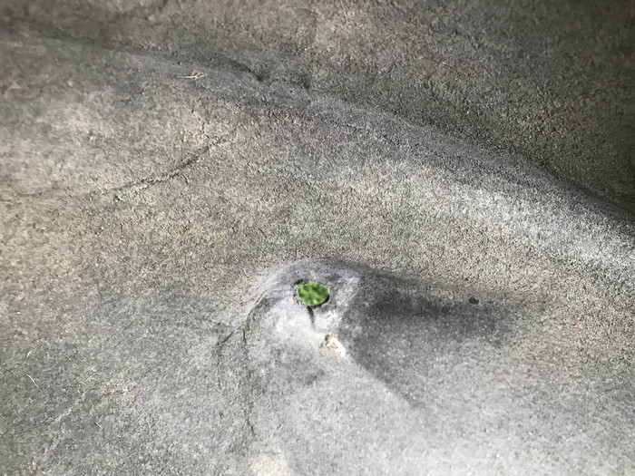 Подкрылок задний левый Lexus RX 4 (2015-н.в.)