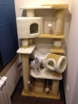 Домик для кошки И-18