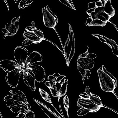 Тюлпаны белые на черном фоне