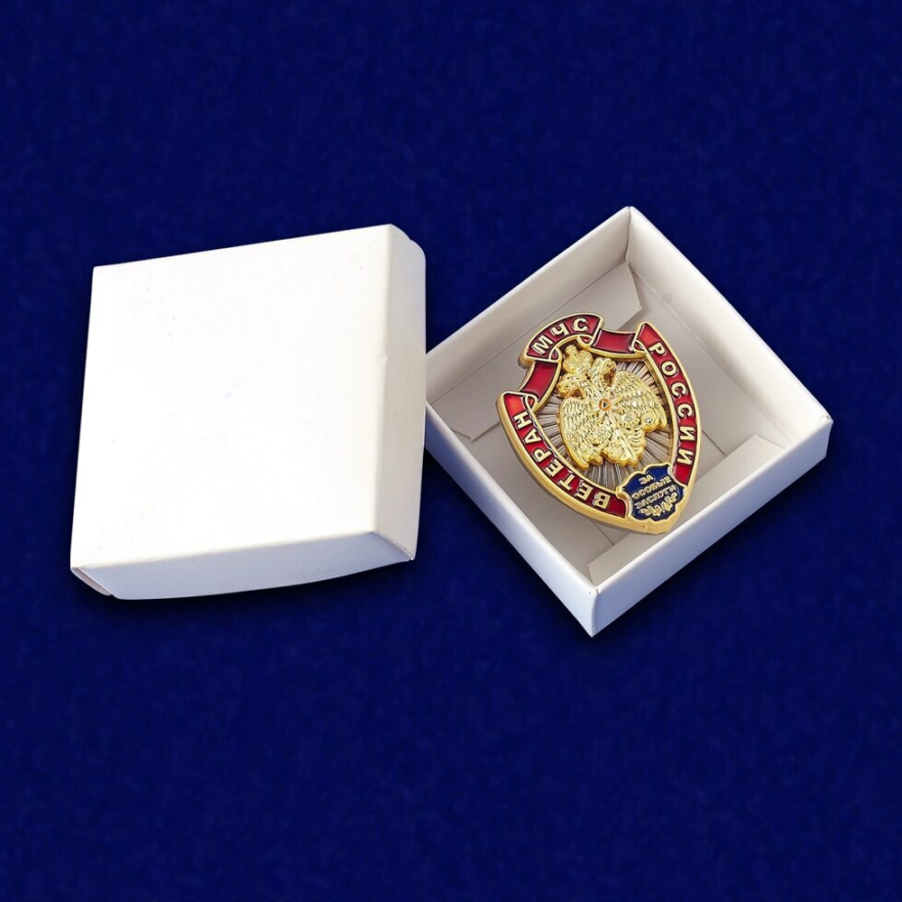 Знак "Ветеран МЧС" Учреждение: 06.12.2010