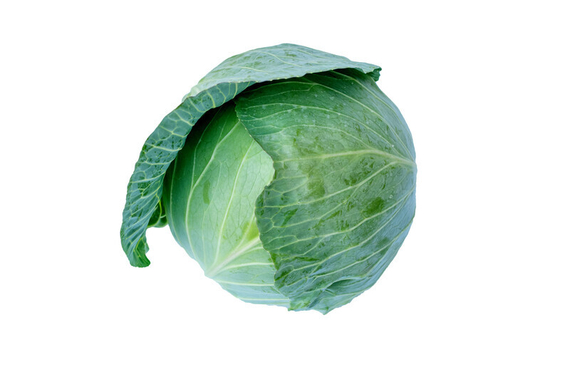 БЛЮЗМА F1 семена белокочанной капусты ( Rijk Zwaan / РАЙК ЦВААН ) – фото 2