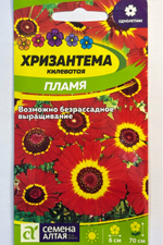 Хризантема килеватая Пламя 0,1 г СМЦ-334