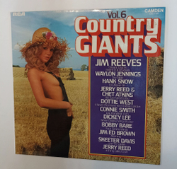 Винтажная виниловая пластинка LP Сборник Country Giants Vol. 6 (UK 1974)