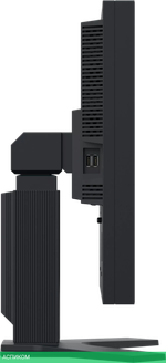 Монитор EIZO FlexScan S2133 (S2133-BK)