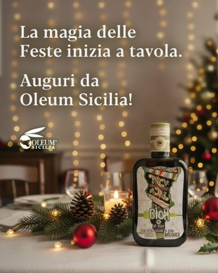 Оливковое масло Olеum Sicilia BIO 0,5 л, Сицилия, Италия