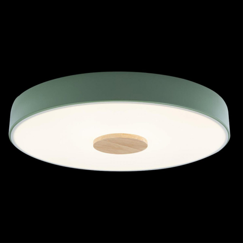 Потолочный светодиодный светильник Loft It Axel 10003/24 Green