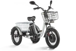 Электротрицикл Eltreco Porter Fat 500