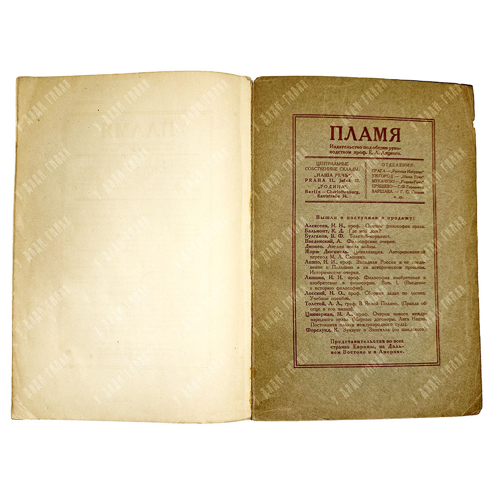 Циммерман М.А. Очерки нового международного права 2-е издание.  Прага, Пламя, 1924 г.