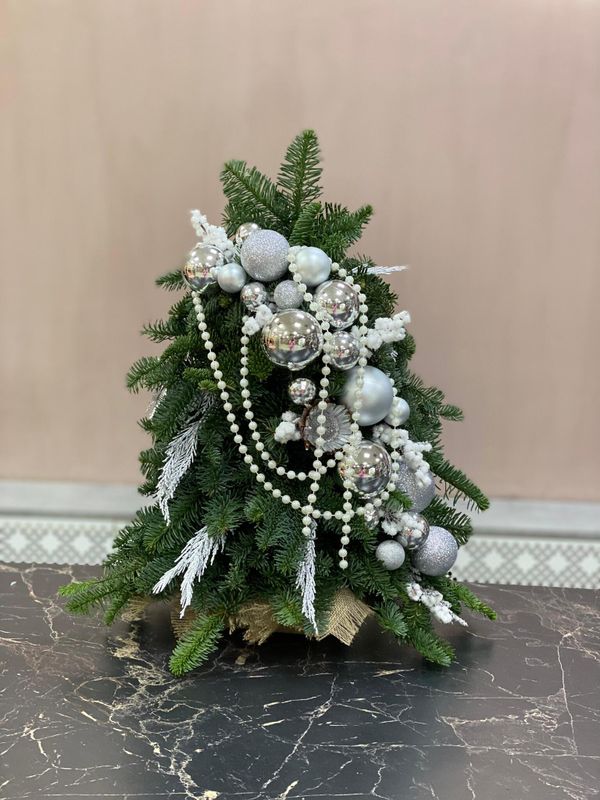 Елка из Нобилиса НГ-62