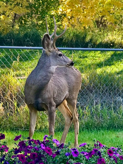 Институт Физического Мастерства - Вебинар 8