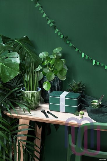 Ланч-бокс MB Original jungle