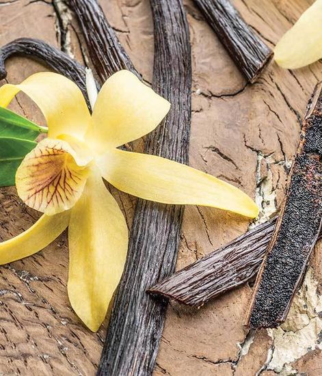 Ароматический воск Антизапах Ванильный боб Vanilla Bean, Candle Warmers