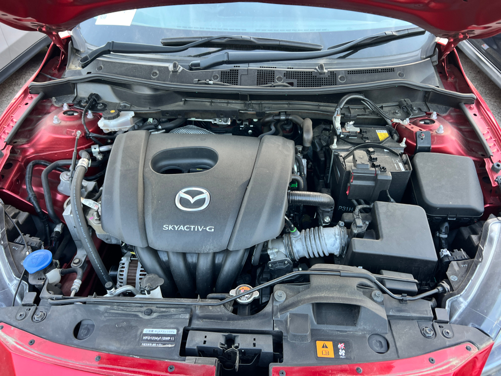 Mazda 2, 2019, 1.5 л бензин, МКПП