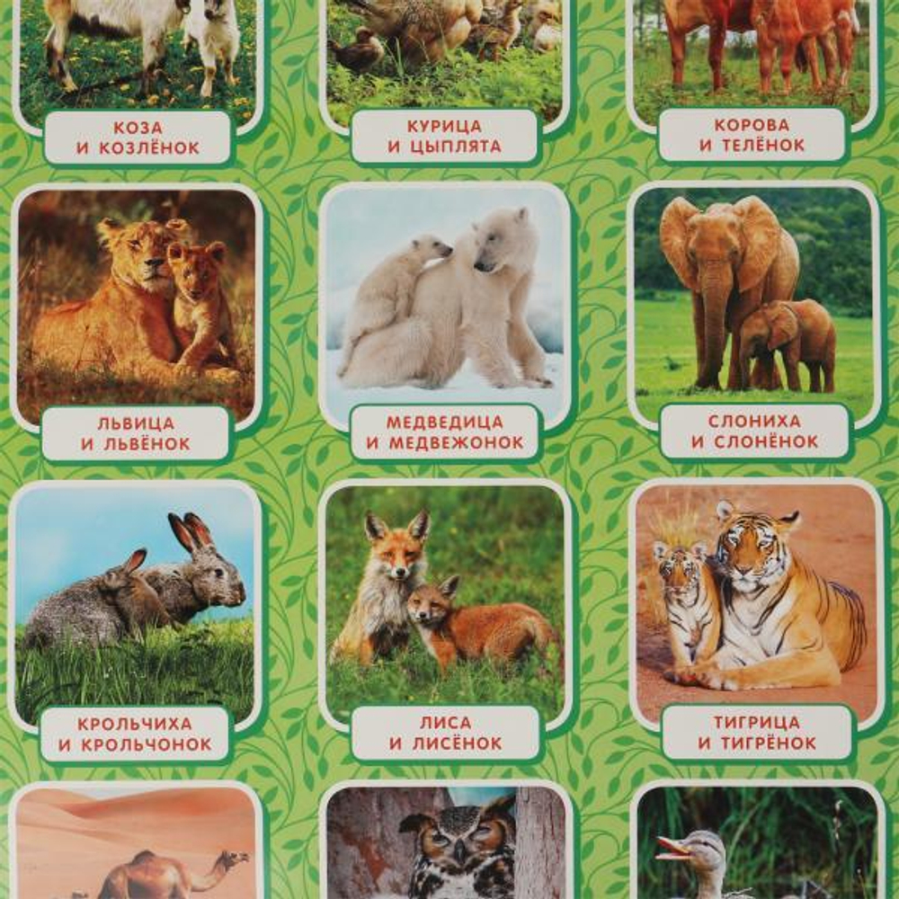 315691/Мамы и малыши. Плакат А2. Умка/1