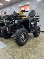 Квадроцикл PROMAX RENEGADE 300 LONG WINCH PRO (2025)