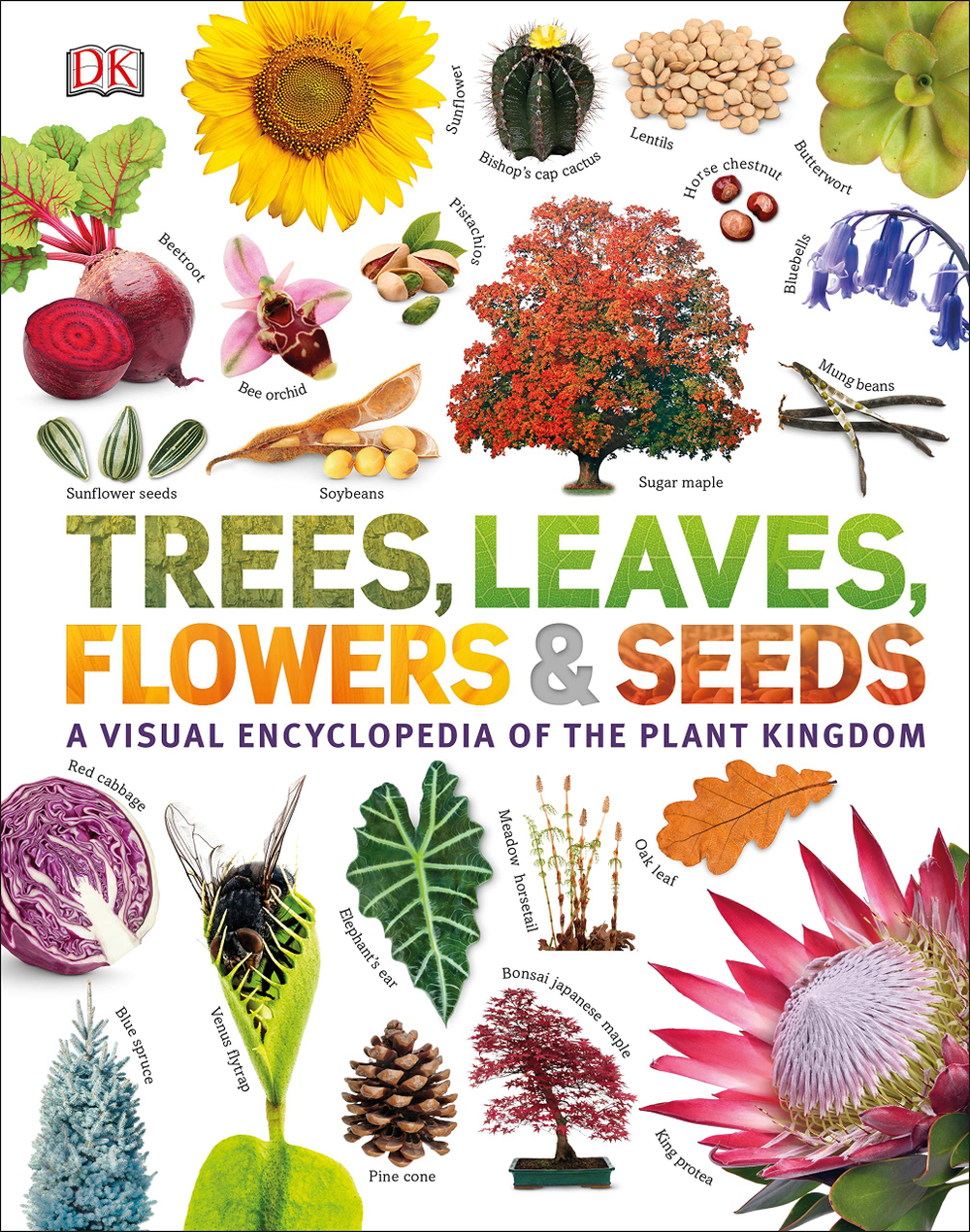 Trees, Leaves, Flowers and Seeds: A visual encyclopedia of the plant kingdom