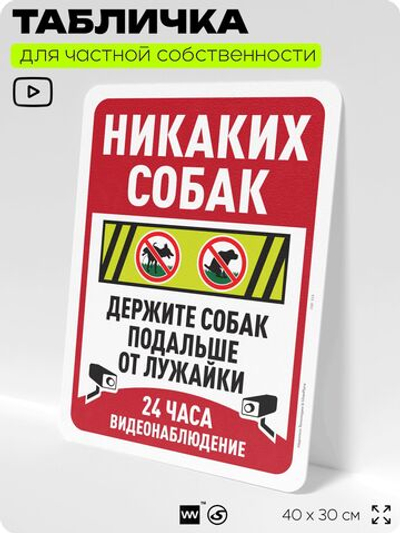 Табличка для частной территории "Никаких собак", на дом, для участка, организаций и частных территорий, предупреждающая, 40х30 см, Silver Plane x Айдентика Технолоджи