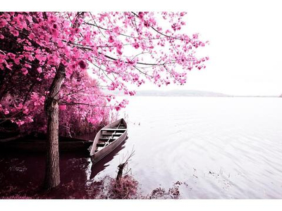 Картина по номерам 40х50см. "Лодка на озере" (Арт.Х-4619)