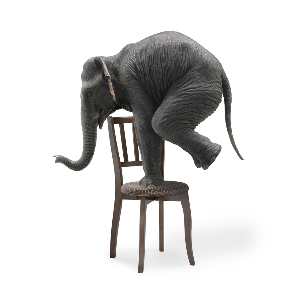 Стул деревянный Woodville Айра орех, коричневый, ножки орех