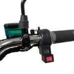 Электроскутер CITYCOCO X12 TRIKE Черный глянец