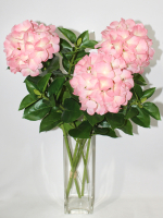 Гортензия искусственная розовая латекс 70см для вазы