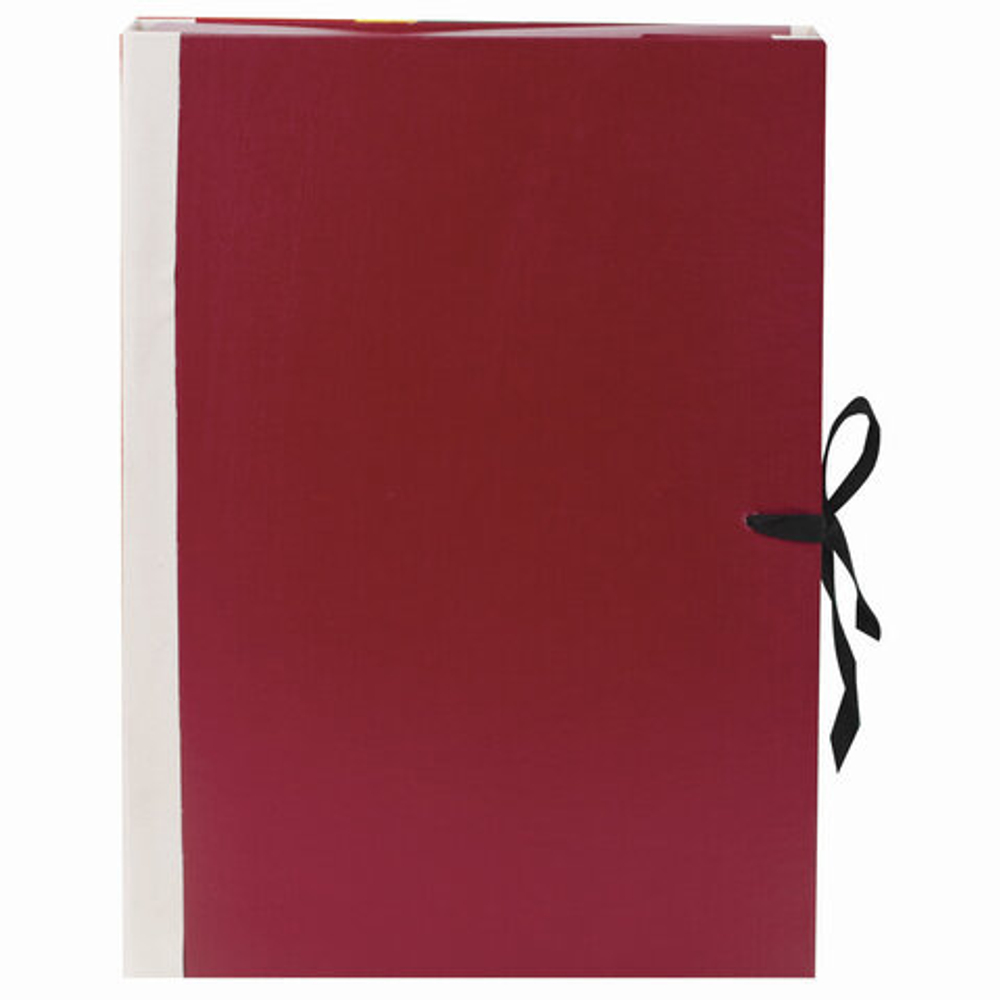 Папка для бумаг архивная А4 (225х310 мм), 80 мм, 4 завязки, бумвинил, корешок - коленкор, 123200