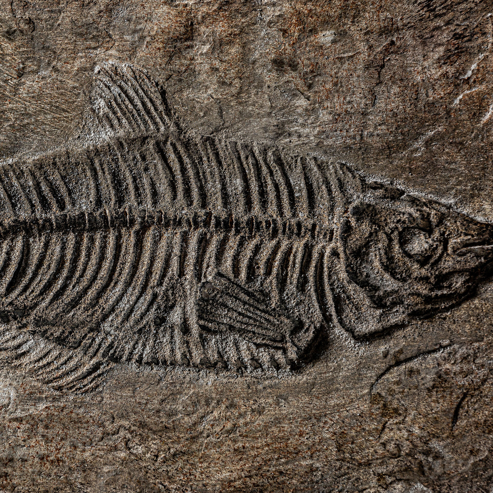 Прямоугольная шкатулка 23236