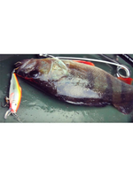 Воблер для рыбалки BURNASH 084mm,