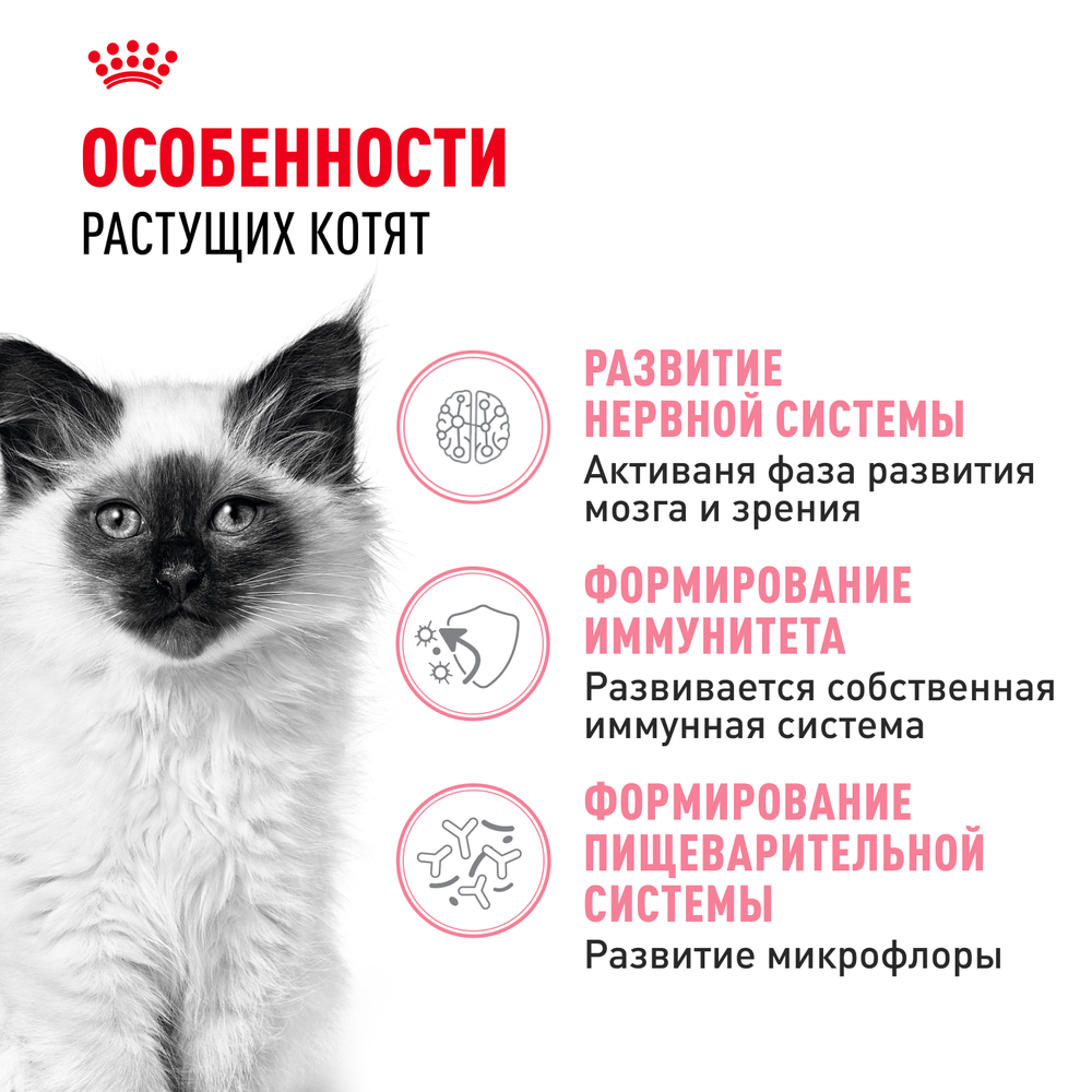 Royal Canin Kitten Корм сухой сбалансированный для котят в период второй фазы роста до 12 месяцев 2 кг