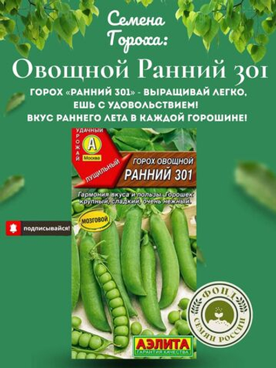 Горох Овощной, Все фиолетово, семена, 10 гр.